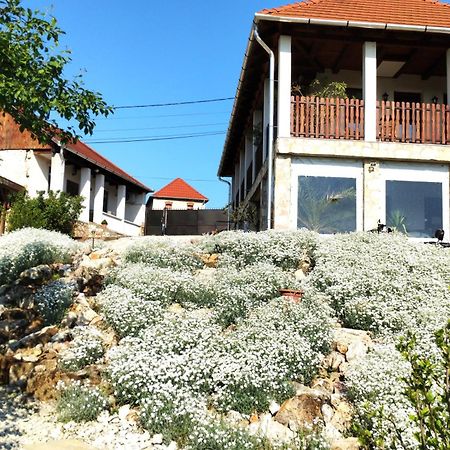 Tokaj Hill Panorama Guesthouse Szerencs Bagian luar foto