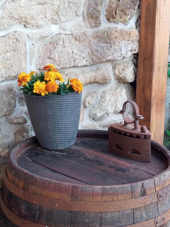 Tokaj Hill Panorama Guesthouse Szerencs Bagian luar foto