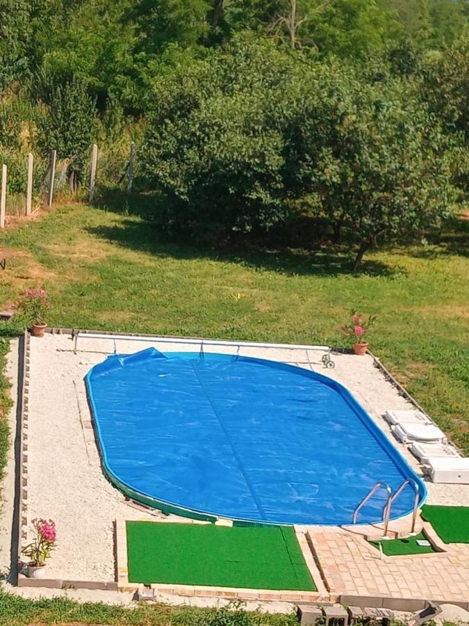 Tokaj Hill Panorama Guesthouse Szerencs Bagian luar foto