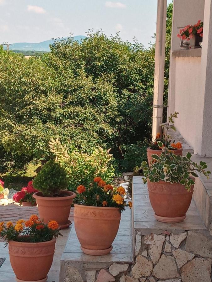 Tokaj Hill Panorama Guesthouse Szerencs Bagian luar foto