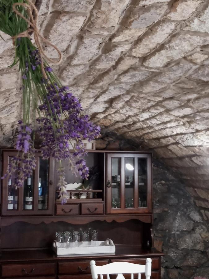 Tokaj Hill Panorama Guesthouse Szerencs Bagian luar foto