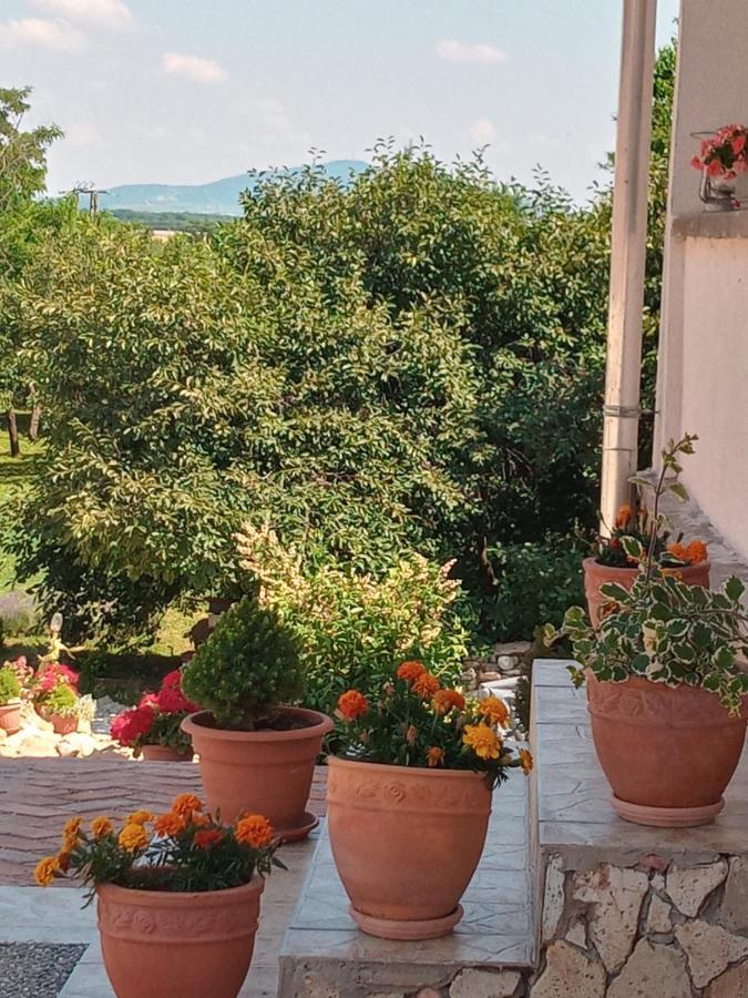 Tokaj Hill Panorama Guesthouse Szerencs Bagian luar foto