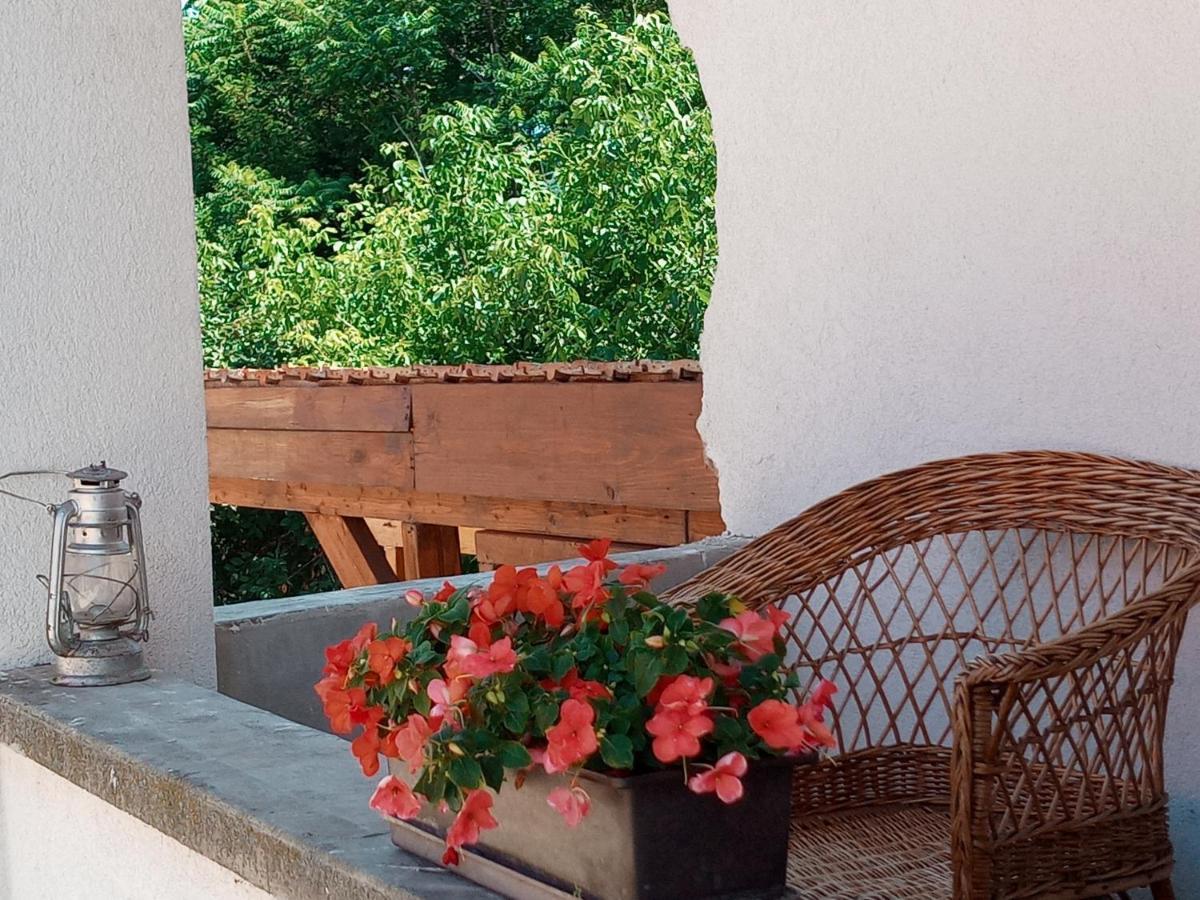 Tokaj Hill Panorama Guesthouse Szerencs Bagian luar foto