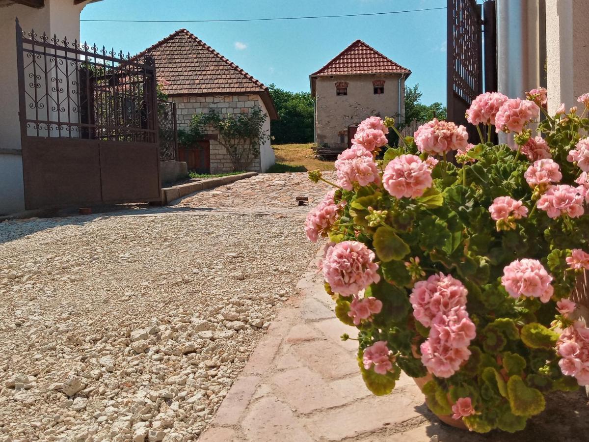 Tokaj Hill Panorama Guesthouse Szerencs Bagian luar foto