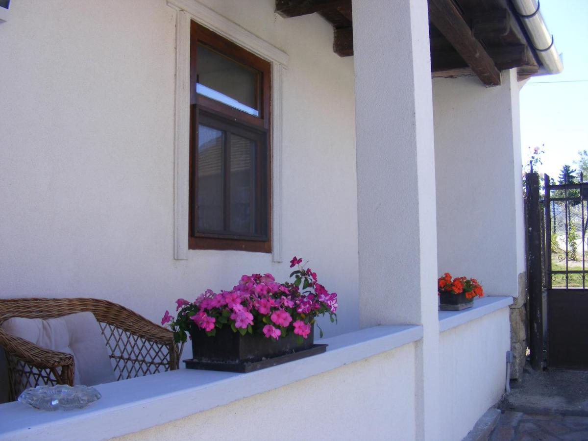 Tokaj Hill Panorama Guesthouse Szerencs Bagian luar foto
