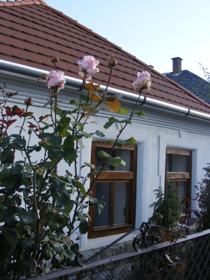 Tokaj Hill Panorama Guesthouse Szerencs Bagian luar foto