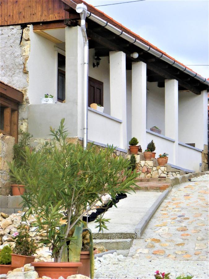 Tokaj Hill Panorama Guesthouse Szerencs Bagian luar foto