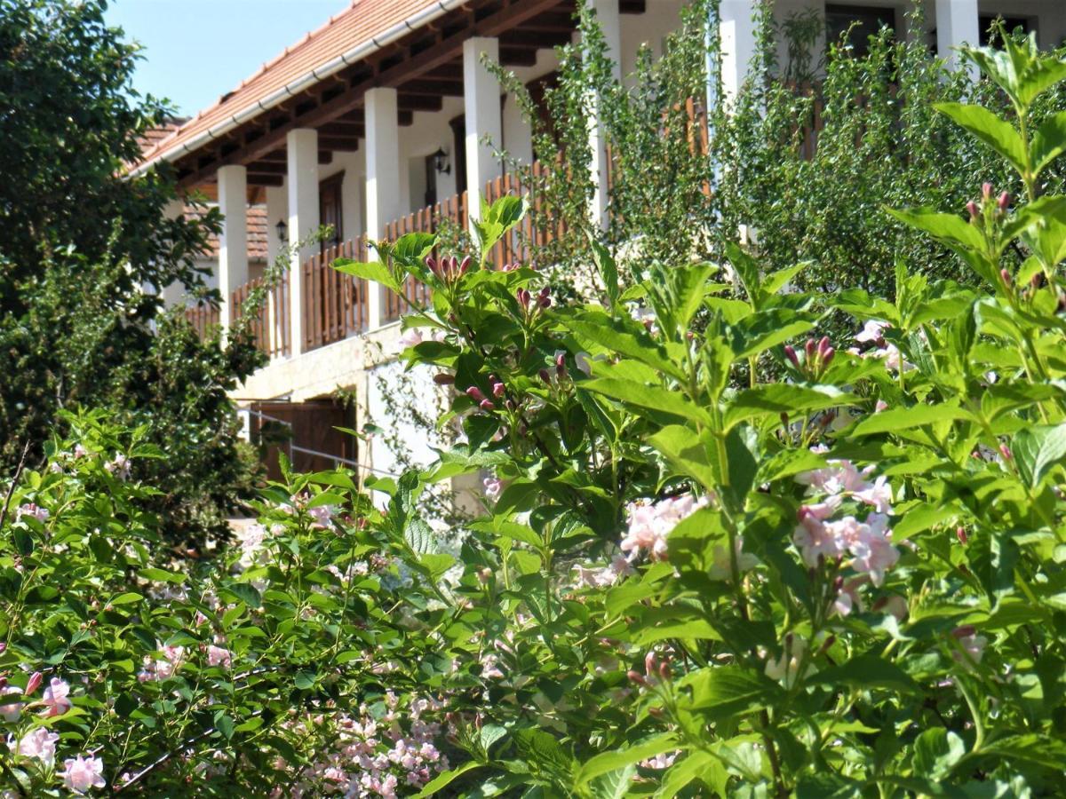 Tokaj Hill Panorama Guesthouse Szerencs Bagian luar foto