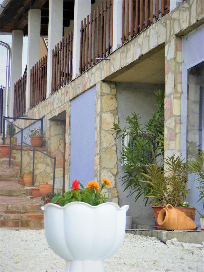 Tokaj Hill Panorama Guesthouse Szerencs Bagian luar foto