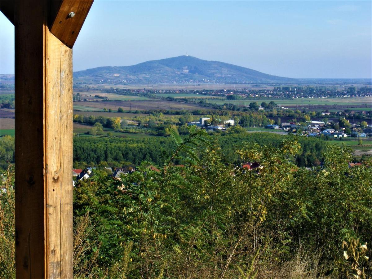 Tokaj Hill Panorama Guesthouse Szerencs Bagian luar foto