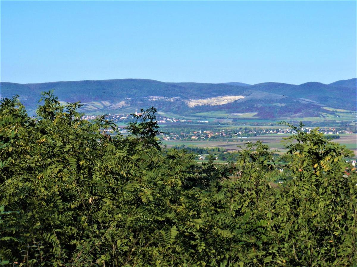 Tokaj Hill Panorama Guesthouse Szerencs Bagian luar foto