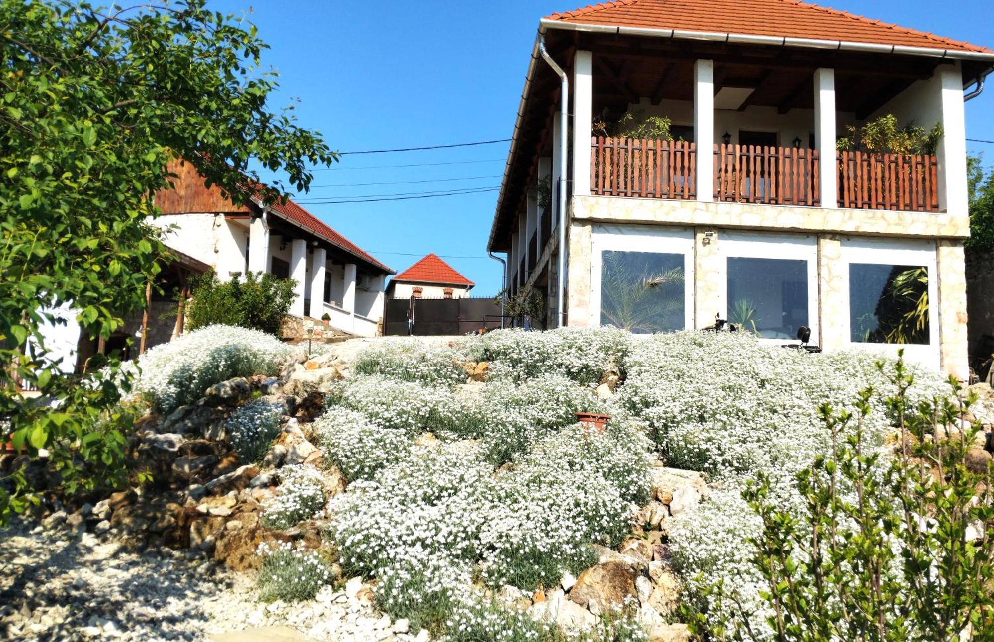 Tokaj Hill Panorama Guesthouse Szerencs Bagian luar foto